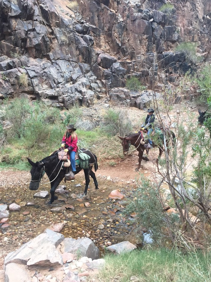 day-3-hike-up-mules-pass-by-us_orig