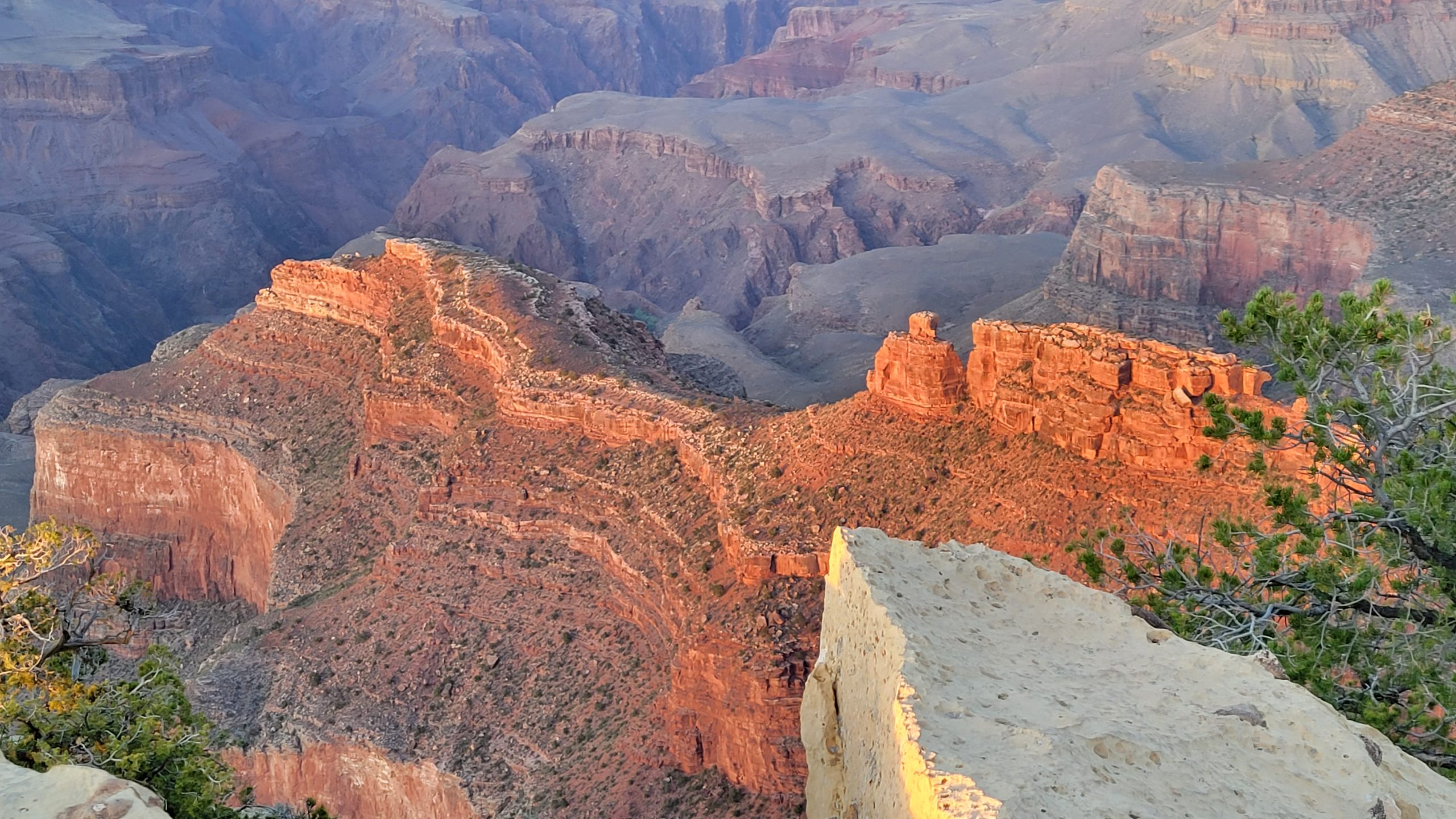 South Rim