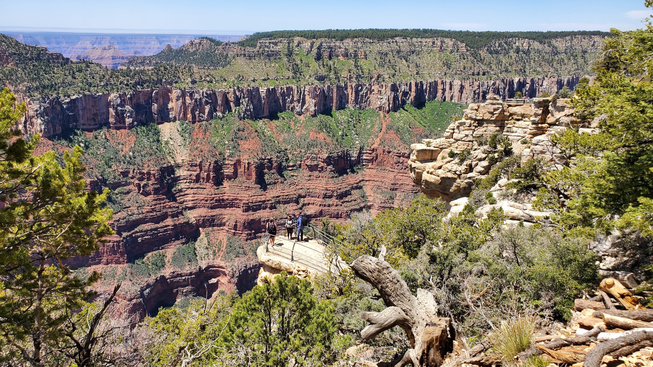 North Rim